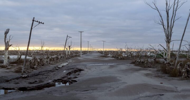 Straße umgeben von kahlen Bäumen und Sträuchern