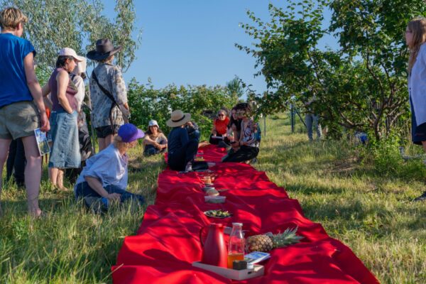 A long red cloth laid out on a field of grass with people sitting around it.