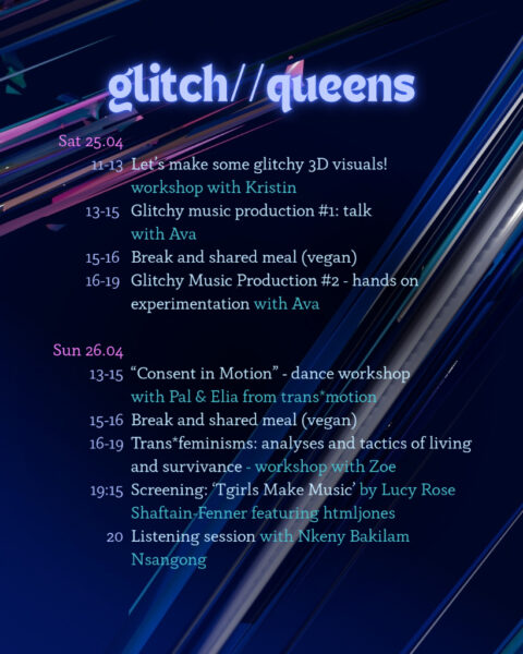 Programm_glitchqueens